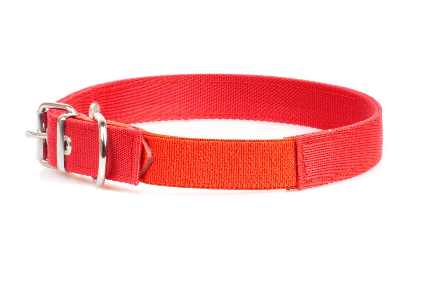 Pet collar