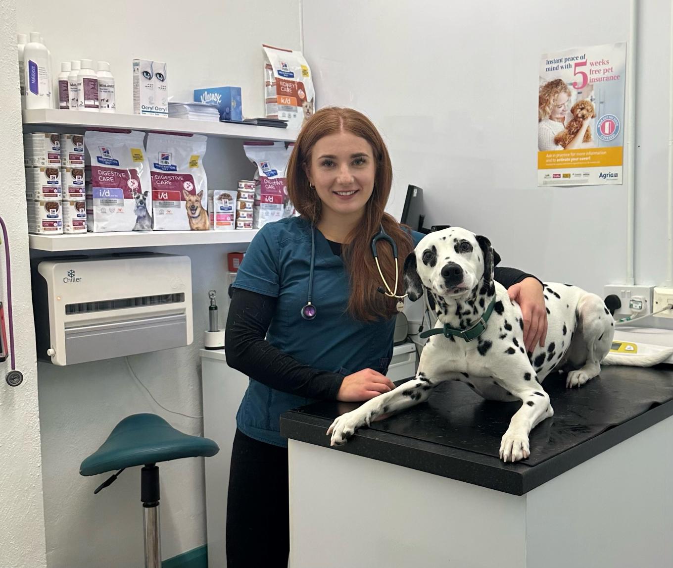 pluto pets vet with Dalmatian 